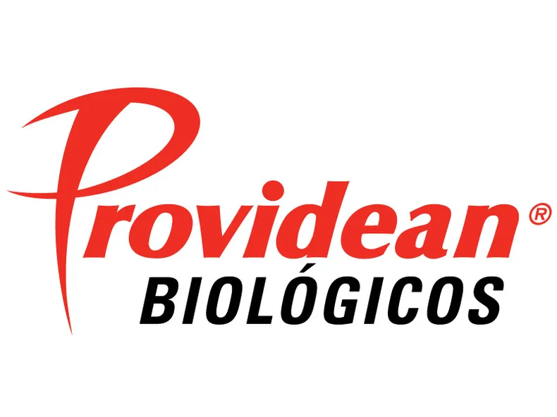 Logo Providean